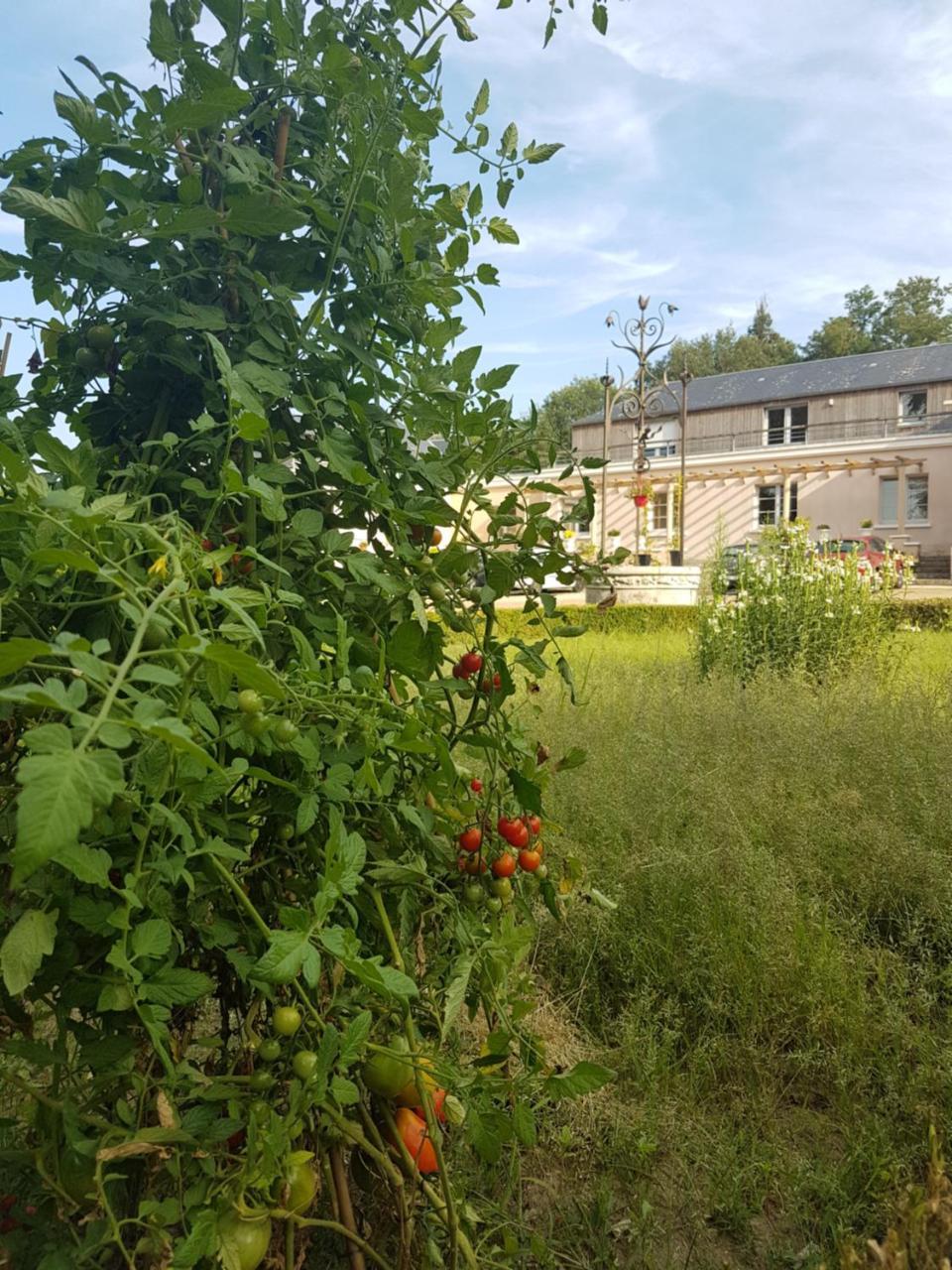 Savonnières Les Mazeraies Maison D'Hotes Avec Spa מראה חיצוני תמונה